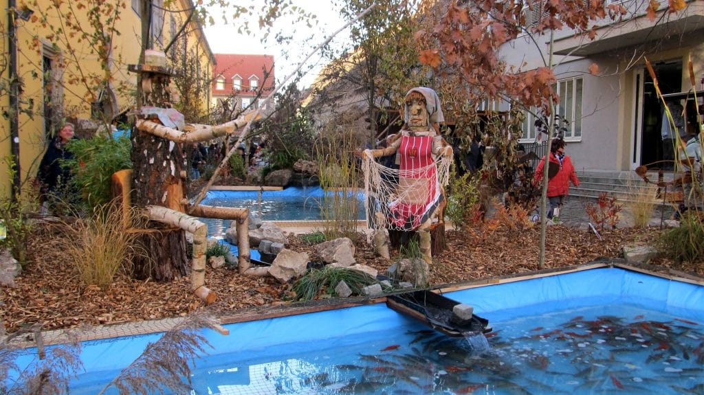 Ausstellung von heimischen Fischen während der Fischerntewoche in Dinkelsbühl